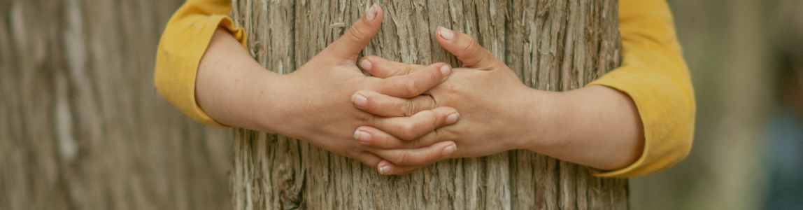 Hands hugging a tree