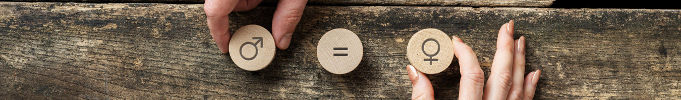 Milieu to support the European Parliament on womens’ rights and gender equality for the next five years