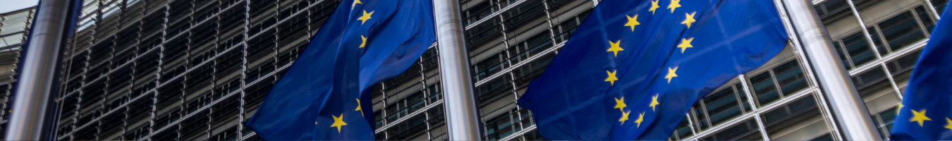 Milieu to lead the Framework Contract to support the work of Committee of the Regions’ CIVEX Commission for the next 4 years