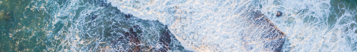 Study supporting the back-to-back evaluation and impact assessment of the Bathing Water Directive