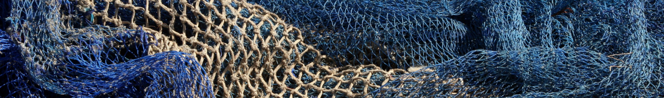 Publication of our study on the sanctioning systems of the Member States for infringements to the rules of the Common Fisheries Policy