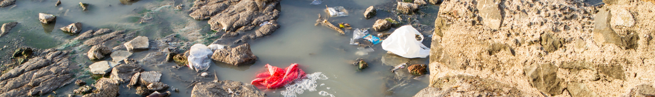 Study on impact assessment of the Environmental Crime Directive published
