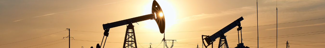 Milieu  has joined forces with the Climate Action Network against methane emissions