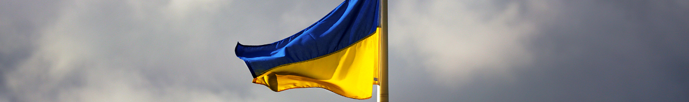 Milieu mapped national measures in the field of access to employment and social security offered to displaced persons from Ukraine