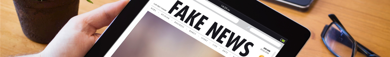 Developing a handbook on good practice in countering disinformation at local and regional level