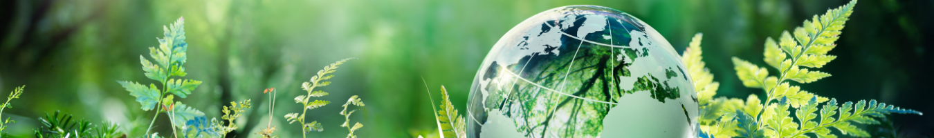 Milieu is awarded a new framework contract with the European Environment Agency