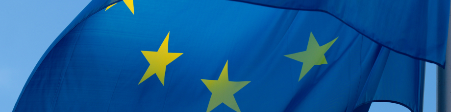 Milieu Contributes to Key Study on EU Budget Access for Local and Regional Authorities