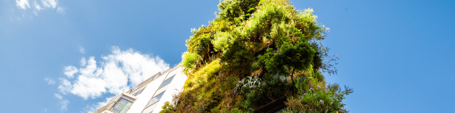 Milieu Consulting’s Research Supports EU Local and Regional Authorities (LRAs) in Financing Adaptation