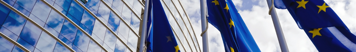 Study on “Options and national discretions under the Deposit Guarantee Scheme Directive and their treatment in the context of a European Deposit Insurance Scheme”