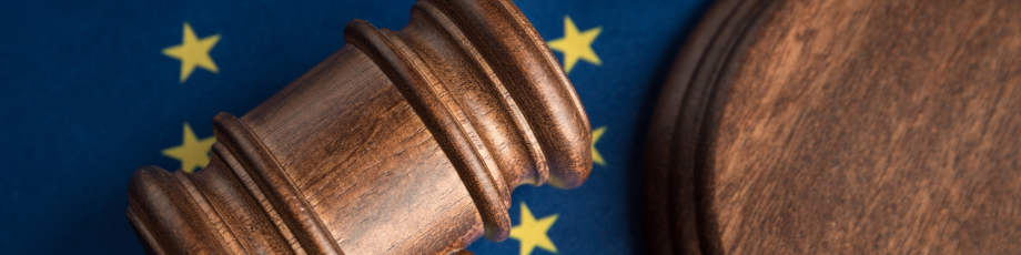 Milieu to Expand EUIPO Case Law Database with New Project