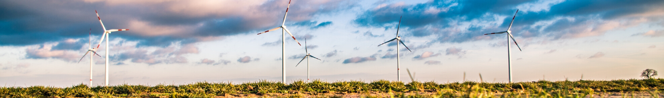 Studies on financing climate action for local and regional authorities
