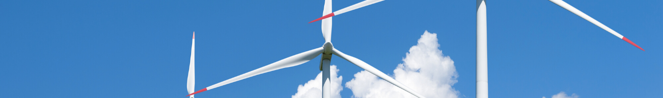 Study on the role of local authorities in energy governance