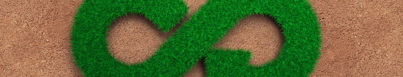 Study on the Local and Regional Dimension in the New Circular Economy Action Plan