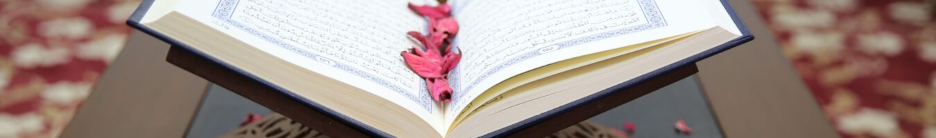 Update of the FRA Anti-Muslim hatred database