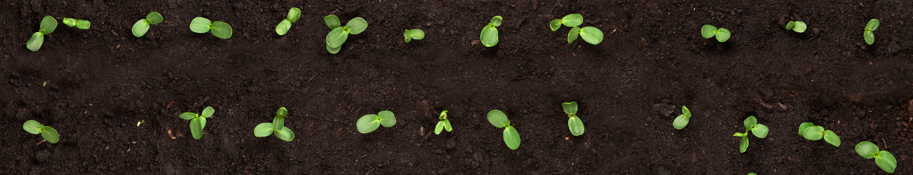 Realising the SDGs Through Sustainable Land and Soil Management