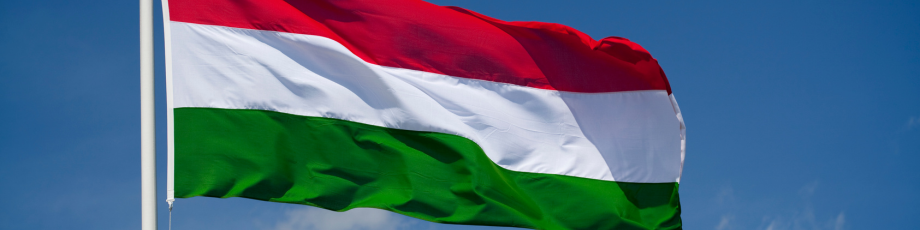 Milieu Supports the European Union Agency for Fundamental Rights in Monitoring the Situation of Displaced Persons in Hungary