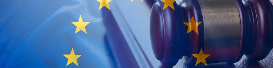Twenty-five years of the EU Charter of Fundamental Rights and publication of the new Manual on Fundamental Rights in EU Funding