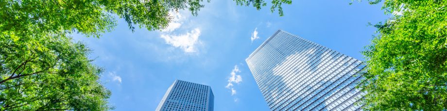 How EU enlargement and the European Green Deal can work hand in hand