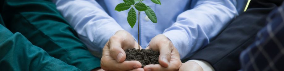 Milieu to Lead New FRA Study on Corporate Sustainability Due Diligence Directive