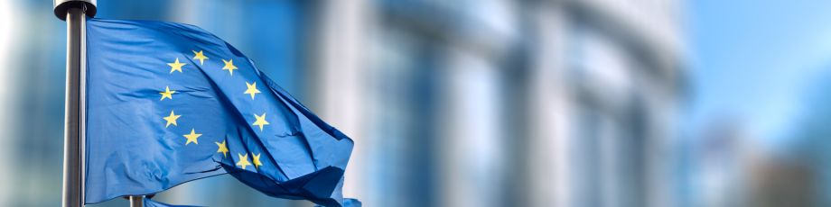 Supporting EU Enlargement through Legal Alignment Checks