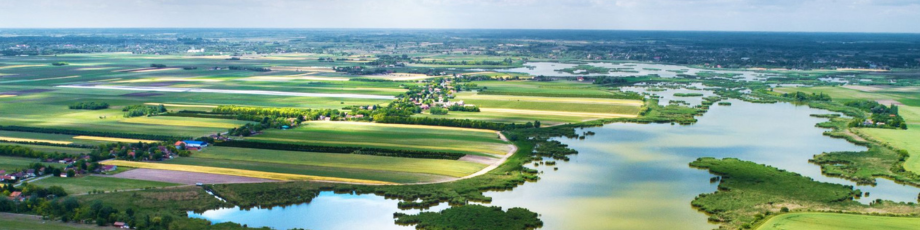 New Study on the Role of EU Cities and Regions in Global Biodiversity Conservation