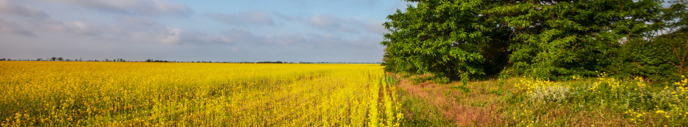 Linking The Planning Tools Emanating From EU Environmental Legislation And Policies With Funding Mechanisms