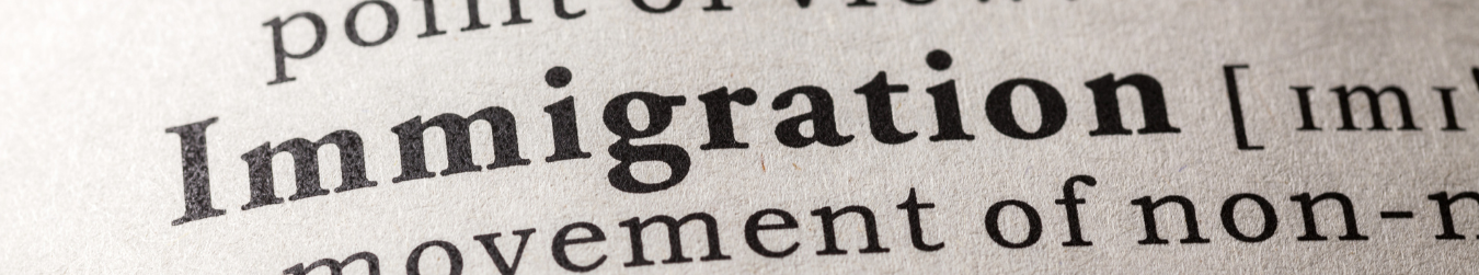 Update of the Handbook on European Law relating to asylum, borders and immigration – 2020