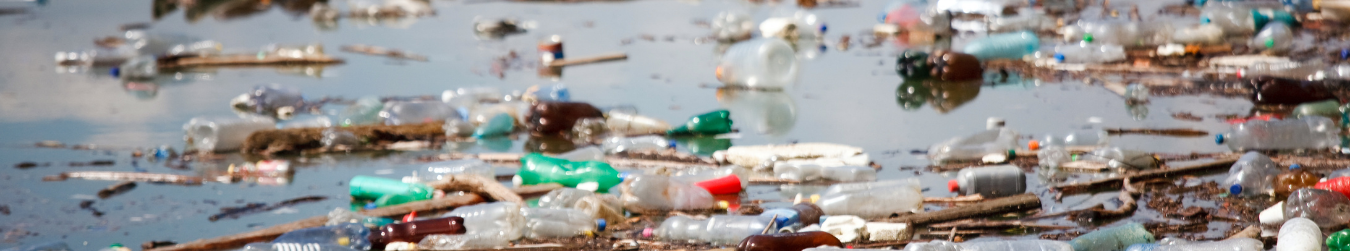 Milieu to support the European Commission DG JUSTICE in assessing the impacts of proposed modifications to the Environmental Crime Directive