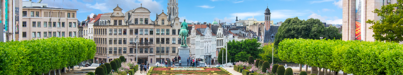 Milieu Contributes To OECD’s Environmental Review of Belgium