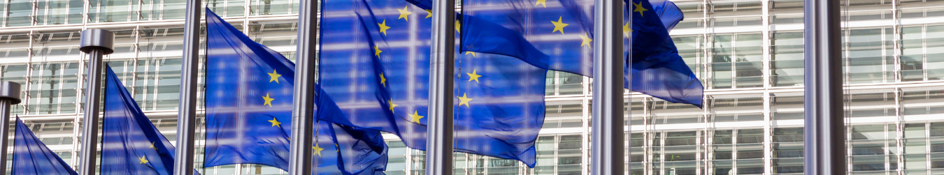 Study on EU added Value of “An EU mechanism on democracy, the rule of law and fundamental rights” published by the European Parliament